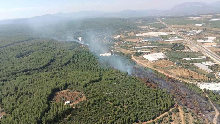 Antalyanın 2 ilçesinde orman yangını: Kontrol altına alındı