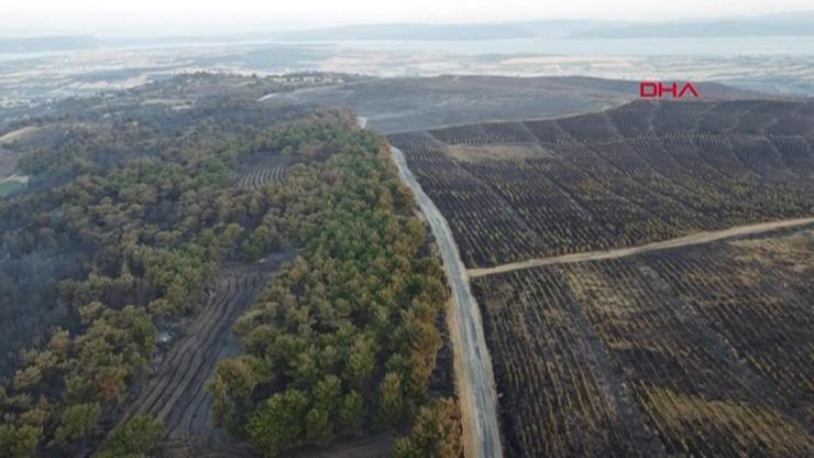 16 Temmuz’daki yangından sonra son durum