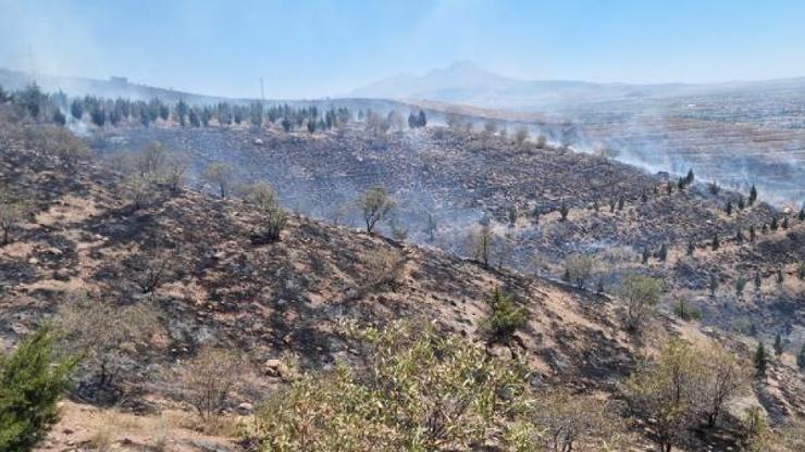 Aksarayda ot yangını ormana sıçradı, 5 bin fidan yandı