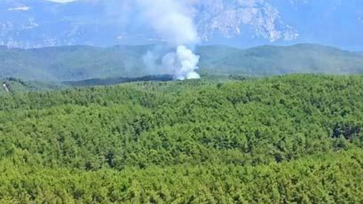 Muğlada orman yangını: Müdahale başladı