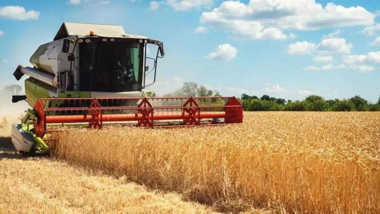 Tarım ÜFE artışı Temmuzda aylık yüzde 8i geçti
