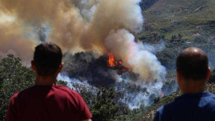 Yunanistanda orman yangını felaketi Kontrol altına alındı