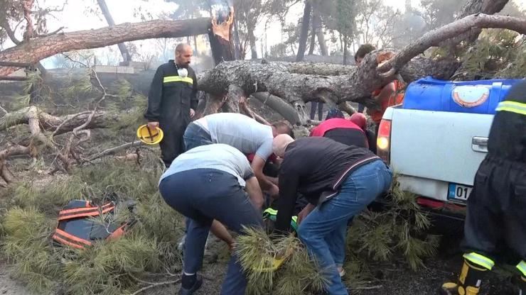 Alevlere müdahale ederken yaralandı Üzerine ağaç devrildi