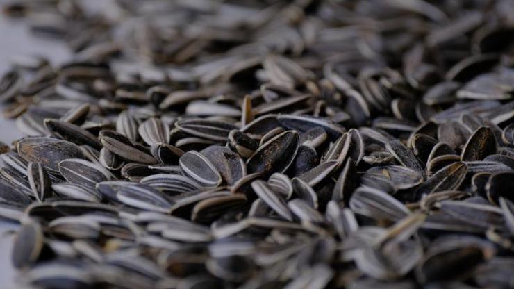 Rüyada Siyah çekirdek Görmek Diyanet Rüyada Siyah çekirdek Görmek Diyanet