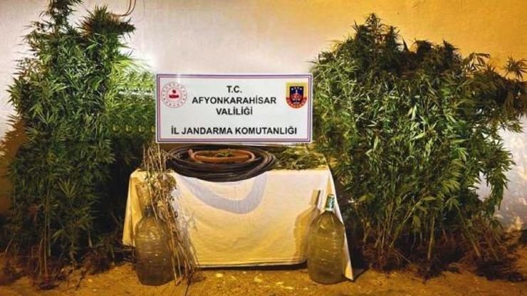 Kenevir ekimi yapanlar fotokapanla yakalandı