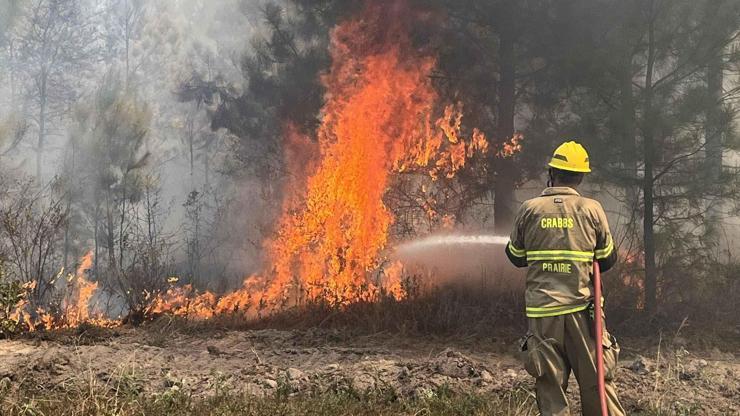 Texas’taki orman yangınında 4 bin dönüm alan yandı