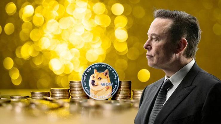 WSJ: Elon Musk gizlice Dogecoini finanse etti