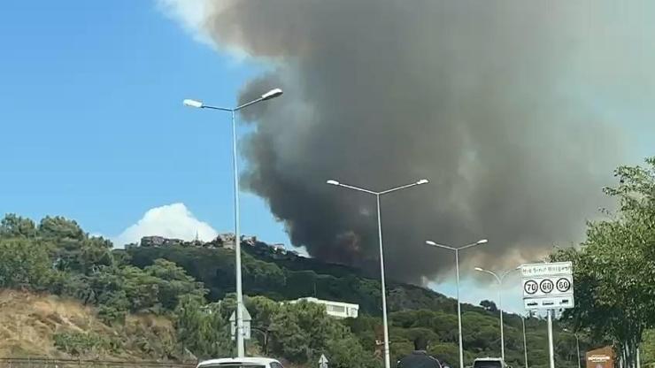 SON DAKİKA: Maltepede orman yangını