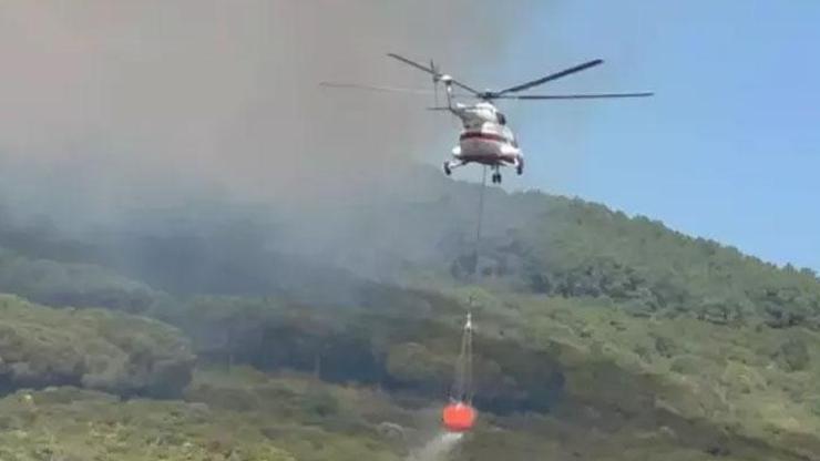 Maltepedeki orman yangını ile ilgili 2 şüpheli gözaltına alındı