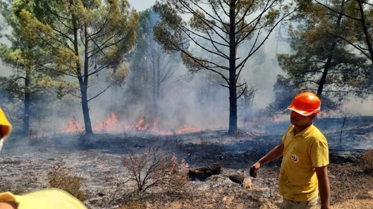 Muğlada 1 günde düşen yıldırımlar nedeniyle 36 yangın çıktı