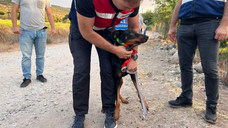 Korhan Berzeg sır oldu 74 gün sonra eve dönen Tinanın tahlil sonuçları belli oldu