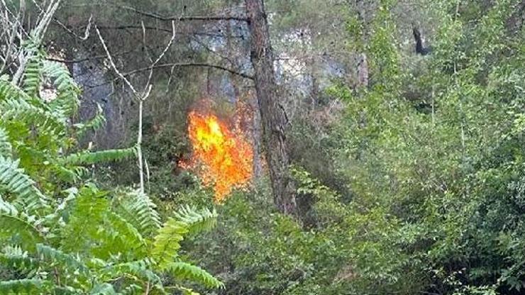 Osmaniyede orman yangını: Ekipler müdahale ediyor