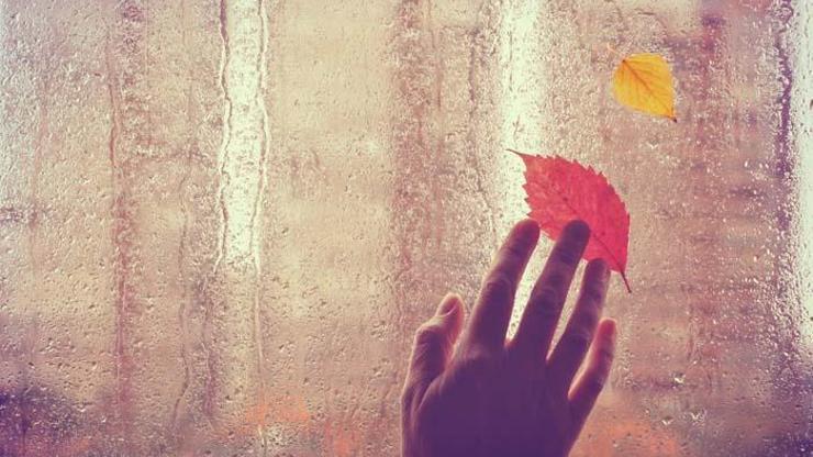 5 maddede sonbaharın mucizevi etkileri