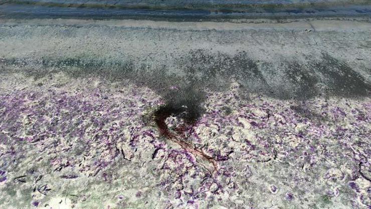Kuraklık Burdur Gölü de vurdu: Sahil morardı