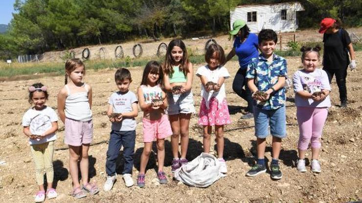 Bornova'da hareket başladı
