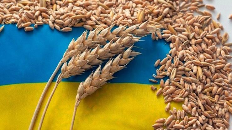 Ukrayna, tarım ürünleri ithalatını yasaklayan Slovakya, Polonya ve Macaristana dava açtı
