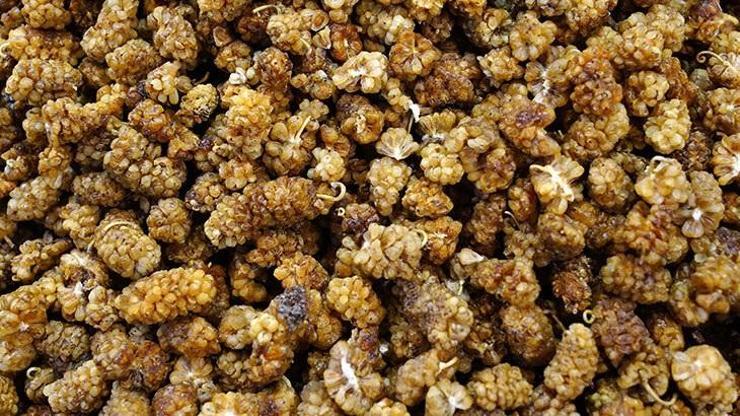 Τι είναι το Dried Mulberry Cure και πώς παρασκευάζεται;  Ποια είναι τα οφέλη του Dried Mulberry Cure;