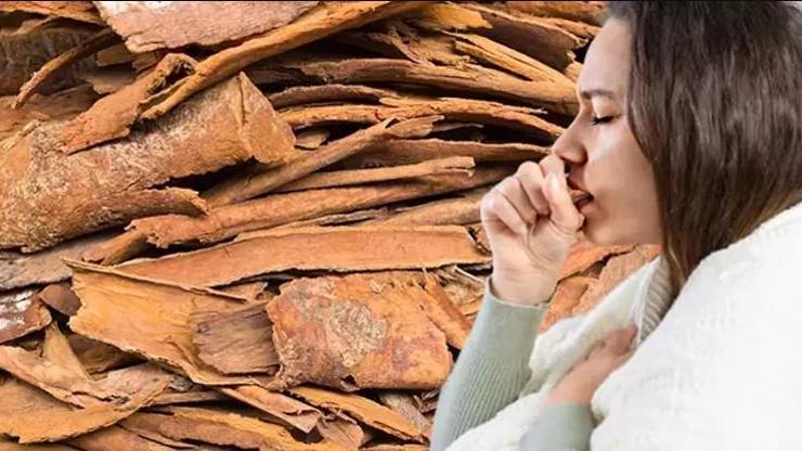 Ne öksürük ne ateş bırakıyor! K vitamininde brokoliyle yarışıyor