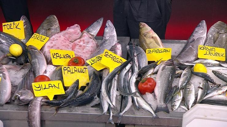 Balık tezgahta 5 kat pahalı Hem balıkçılar hem tüketici şikayetçi, nasıl oluyor