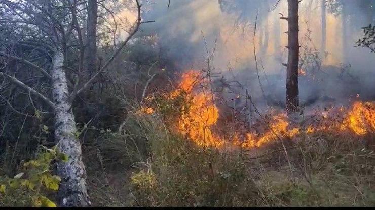 Sultangazi Kent Ormanındaki yangın söndürüldü: Yaklaşık 10 dönüm alan kül oldu