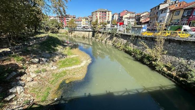 Bartın Irmağı'nda toplu balık ölümleri