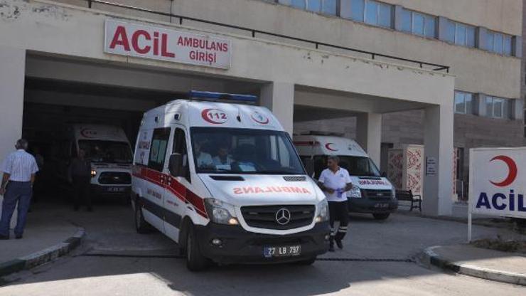 Gaziantep'te ceviz ağacından düşen çiftçi yaralandı