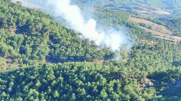 Çanakkalede orman yangını: Müdahale sürüyor