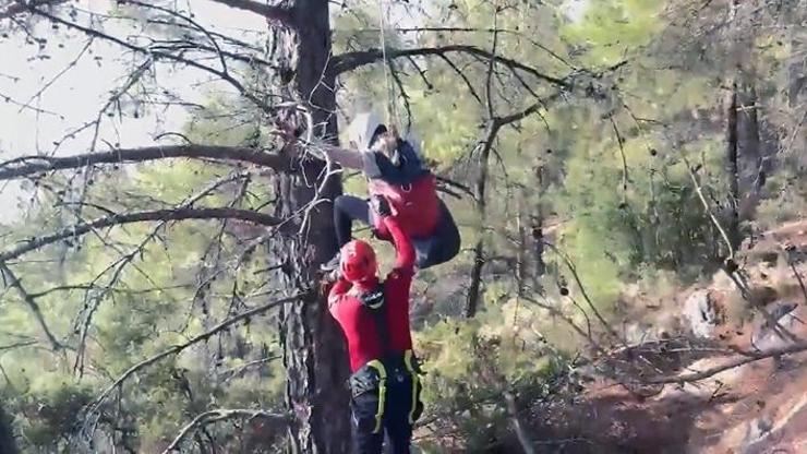 Yabancı uyruklu paraşütçü ağaçta asılı kaldı