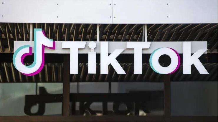TikTok, milyonlarca sahte hesabı sildiklerini duyurdu