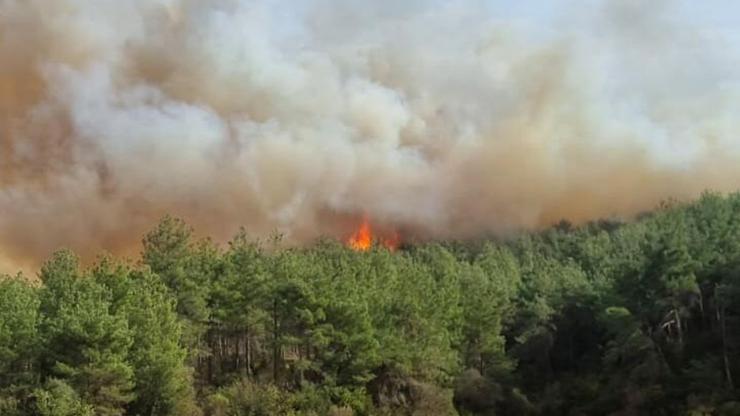 Çanakkalede orman yangını: 1 köy boşaltıldı