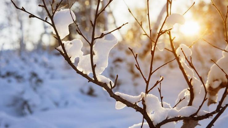 Kış aylarında hava sıcaklığı normalin 2-3 derece üzerinde olacak