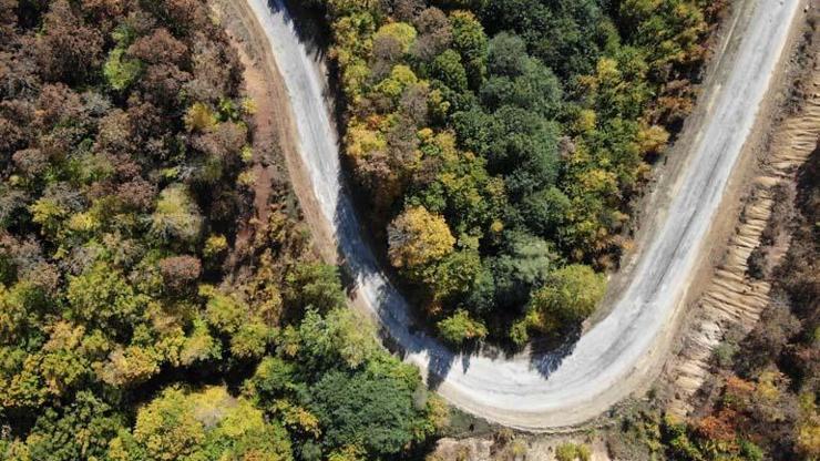 Longoz ormanlarının güzelliği havadan görüntülendi