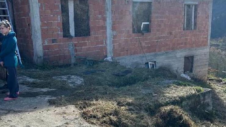 Trabzon'da ahır yangını; 12 büyükbaş öldü