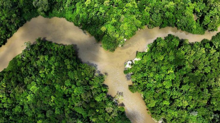 Brezilya, ciddi anlamda ormansızlaşma oranları ile karşı karşıya
