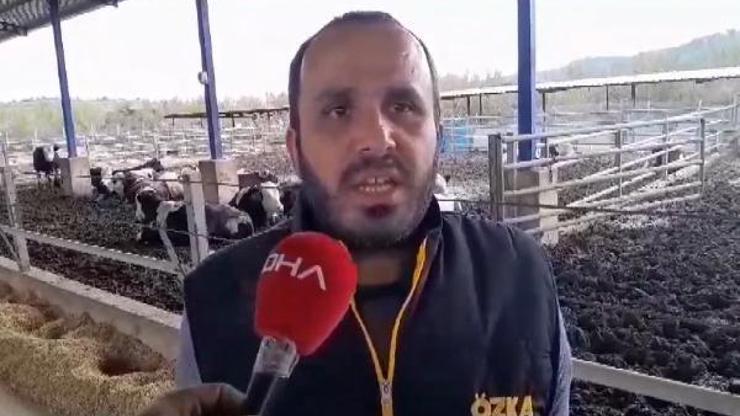 Karaisalı'da sel, hayatı olumsuz etkiledi Karaisalı'da sel, hayatı olumsuz etkiledi