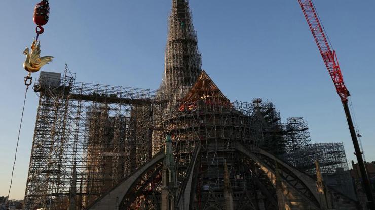 Notre Dame’ın horozu, 4 yıl sonra eve döndü