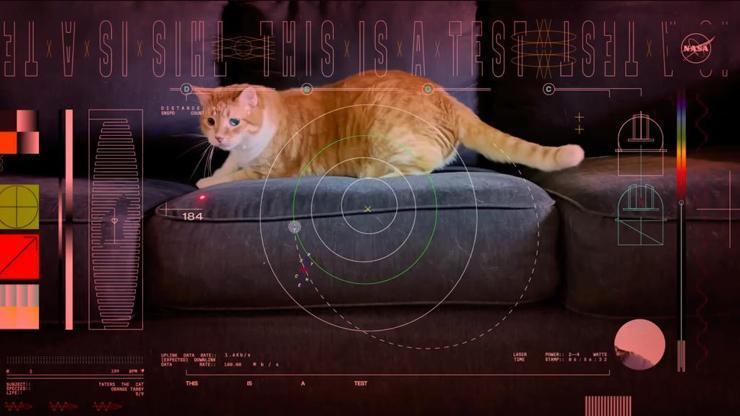 Dönüm noktasının anahtar kelimeleri: NASA, kedi videosu, lazer…