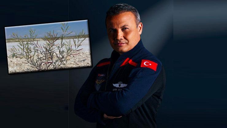 Tuz Gölü'nden uzaya! İlk Türk astronot yanında götürecek - Son Dakika Flaş  Haberler