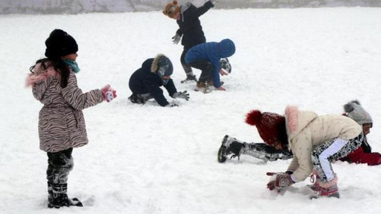 Eğitime kar engeli Vanda okullar tatil edildi