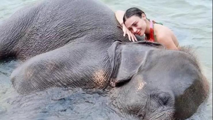 Rabia Soytürkün fil ile pozları sosyal medyanın dilinde