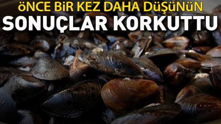 İstanbulda midye yemeden önce bir kez daha düşünün Alınan 30 numunede 60 mikroplastik tespit edildi