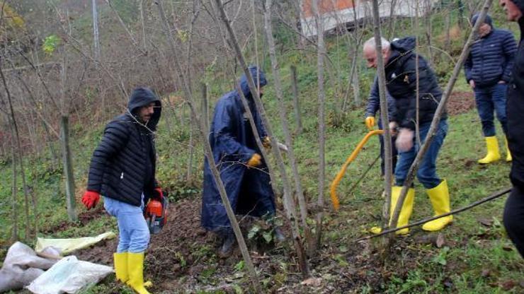 ‘Fındık bahçeleri ve üreticiler yaşlanıyor’ ‘Fındık bahçeleri ve üreticiler yaşlanıyor’