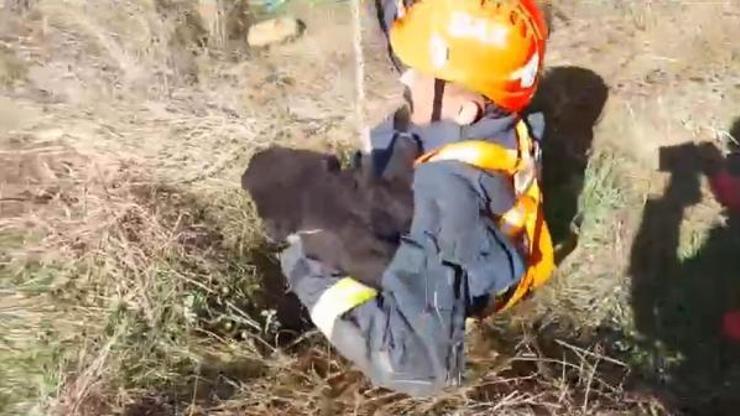 Kuyuya düşen köpeği itfaiye kurtardı Kuyuya düşen köpeği itfaiye kurtardı