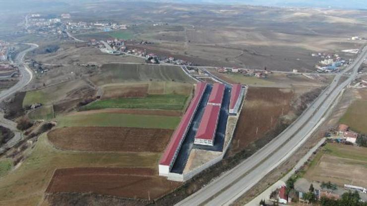 Vezirköprü Galericileri Sitesi asfalt yollarla kaplandı Vezirköprü Galericileri Sitesi asfalt yollarla kaplandı