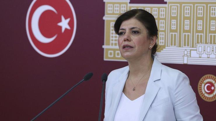 Meral Danış Beştaş kimdir, nereli DEM Parti İstanbul Büyükşehir Belediye başkan adayı hakkında bilgiler