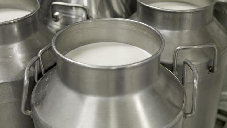 Süt ve yumurta üretimi Aralık ayında arttı