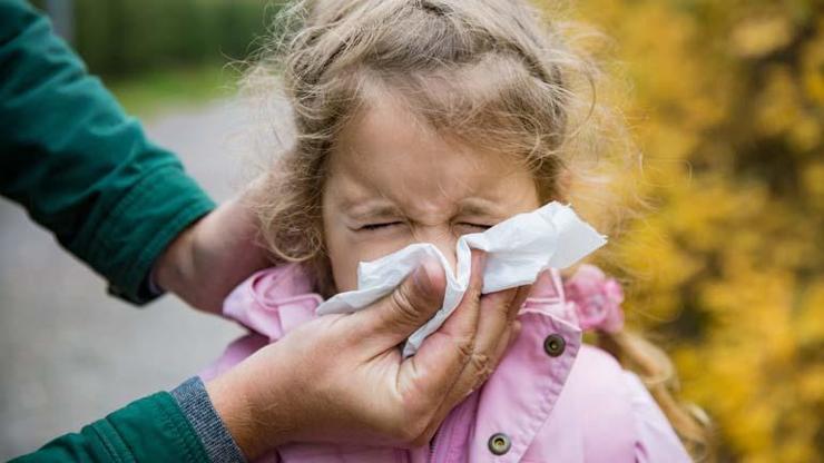 Çocuklarda alerjiye dikkat Uzman isim açıkladı: Okul başarısını olumsuz etkileyebilir