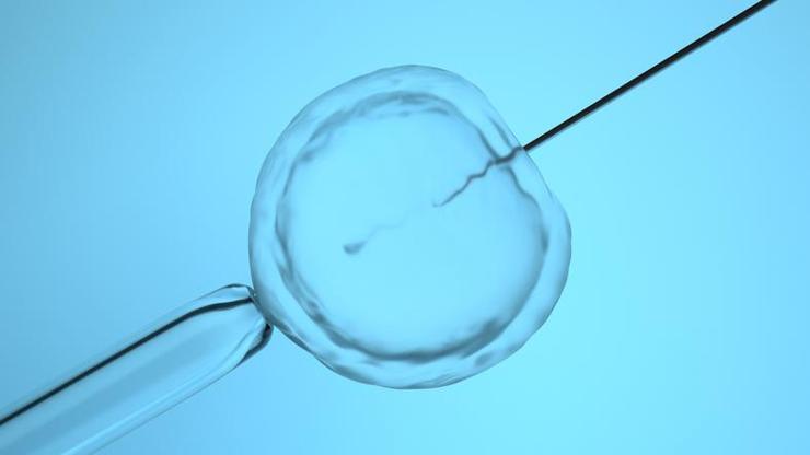 ABDde embriyo çocuktur kararı: O eyalette tüp bebek çalışmaları durdu