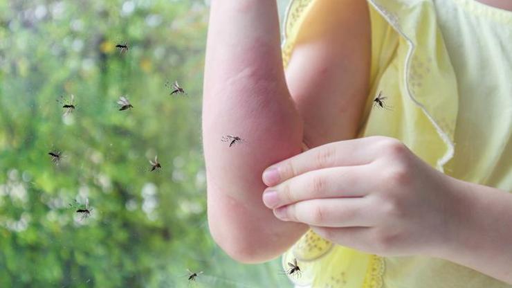 Sivrisinek kaynaklı hastalıklara dronlu çözüm