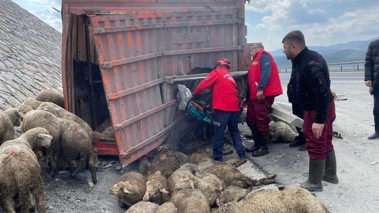Balıkesir'de TIR, kamyona arkadan çarptı; 1 kişi hayatını kaybetti, 2 kişi yaralandı, 52 koyun öldü